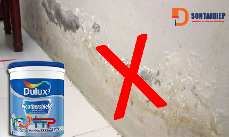 son-dulux-chong-kiem.png