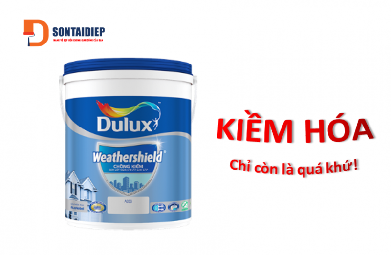 son-dulux-chong-kiem2.png