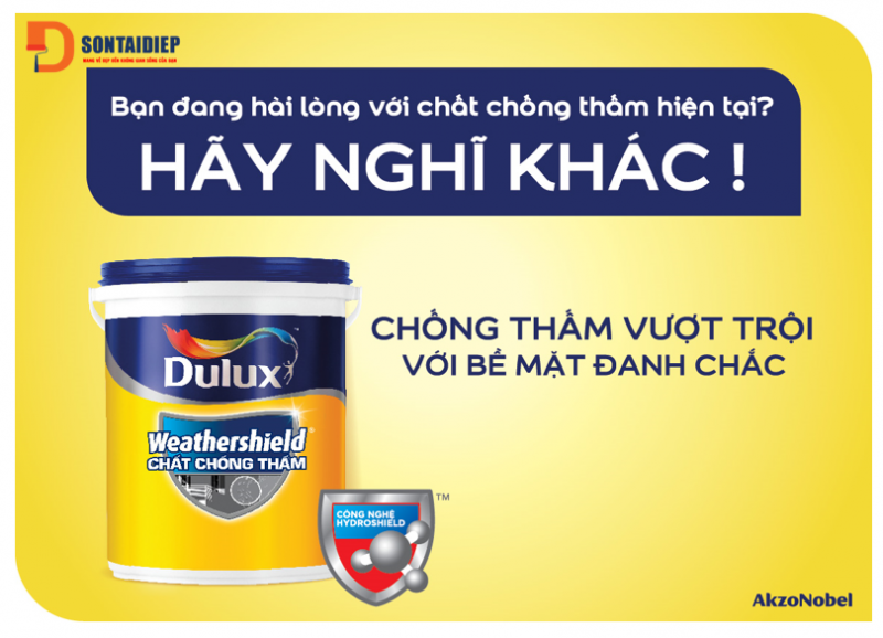 son-dulux-chong-tham.png