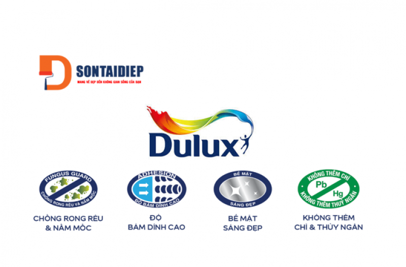son-dulux-chong-tham2.png