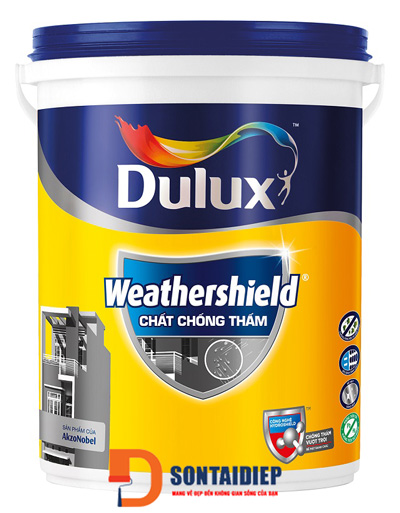 son-dulux-son-lot-chong-tham-4_0.jpg