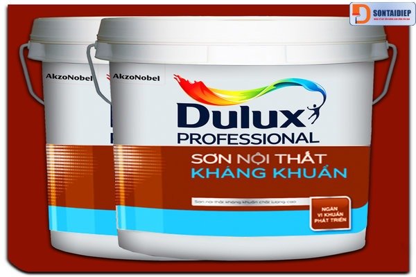 son-tai-diep-dia-chi-phan-phoi-son-dulux-professional-chat-luong.jpg