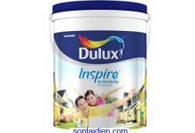 Công ty Sơn Tài Điệp tư vấn về Sơn Dulux