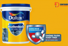 Sơn chống thấm Dulux Y65 – phương pháp chống thấm tường hiệu quả