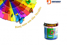 Bảng màu sơn dầu Maxilite