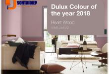 Tiếp cận xu hướng màu sơn Dulux năm 2018 mới nhất