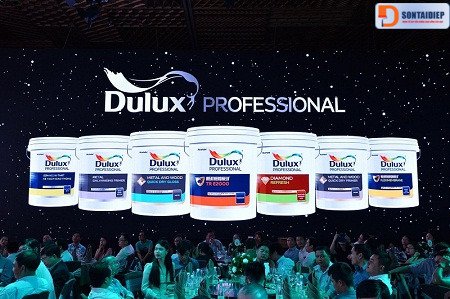 uu-diem-vuot-troi-cua-dong-son-lot-dulux-professional.jpg